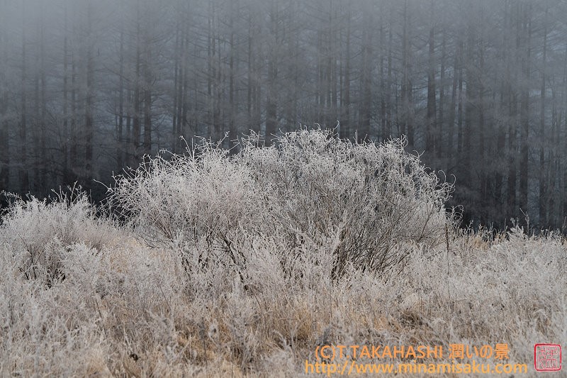 ../Images/7R250103 (63).jpg